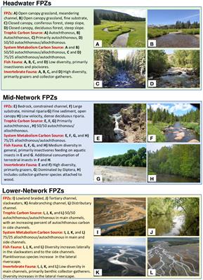 The ecological nature of whole river macrosystems: new perspectives from the riverine ecosystem synthesis